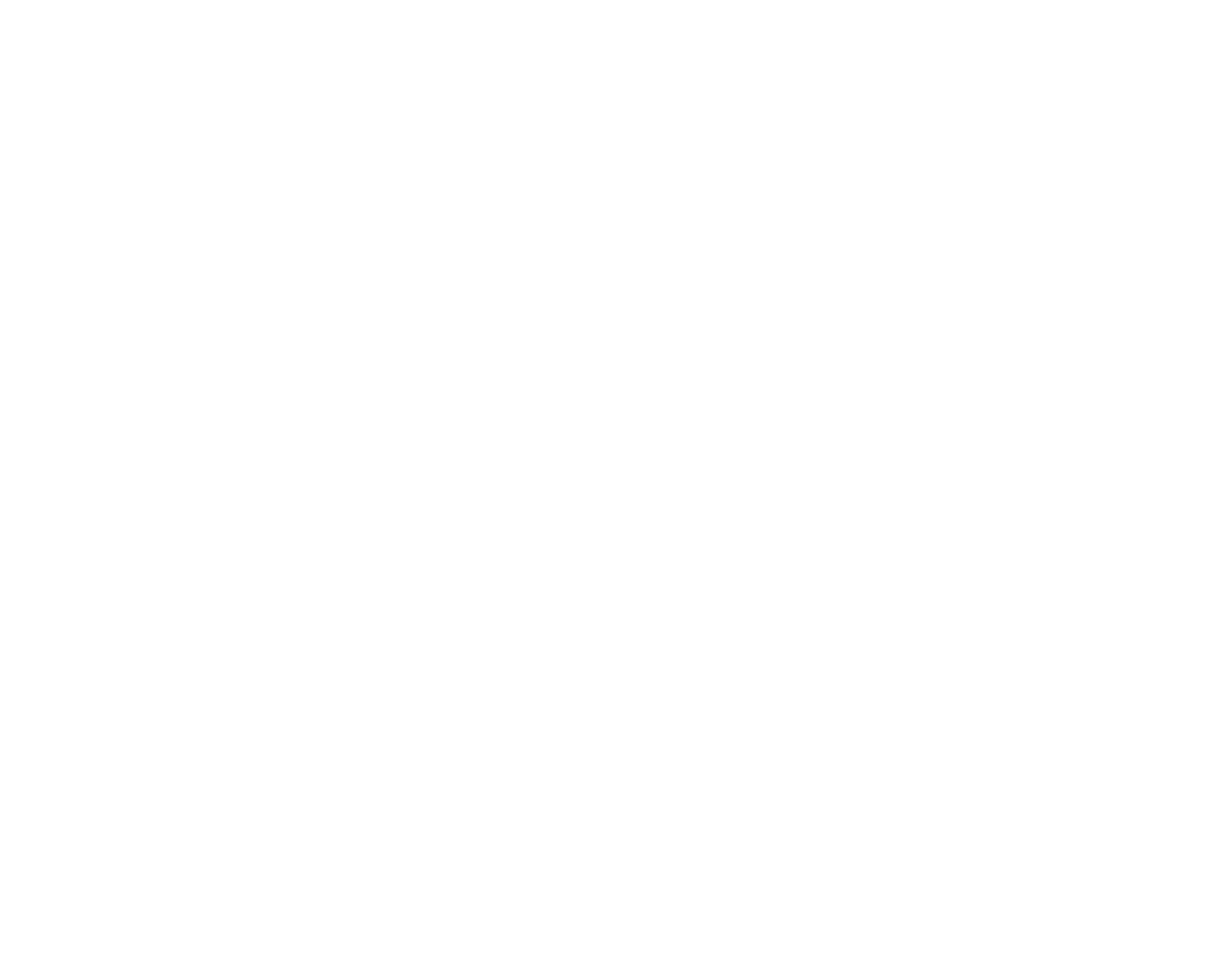Logo_Logo wit johnson-marketing-zorgmarketing-marketing-in-de-zorg